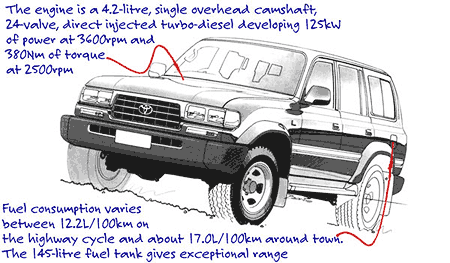 Toyota_80_Series_Landcruiser_GXL_turbo-diesel_MK2_95-98_front.gif