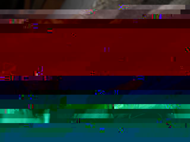 DSC06076.JPG